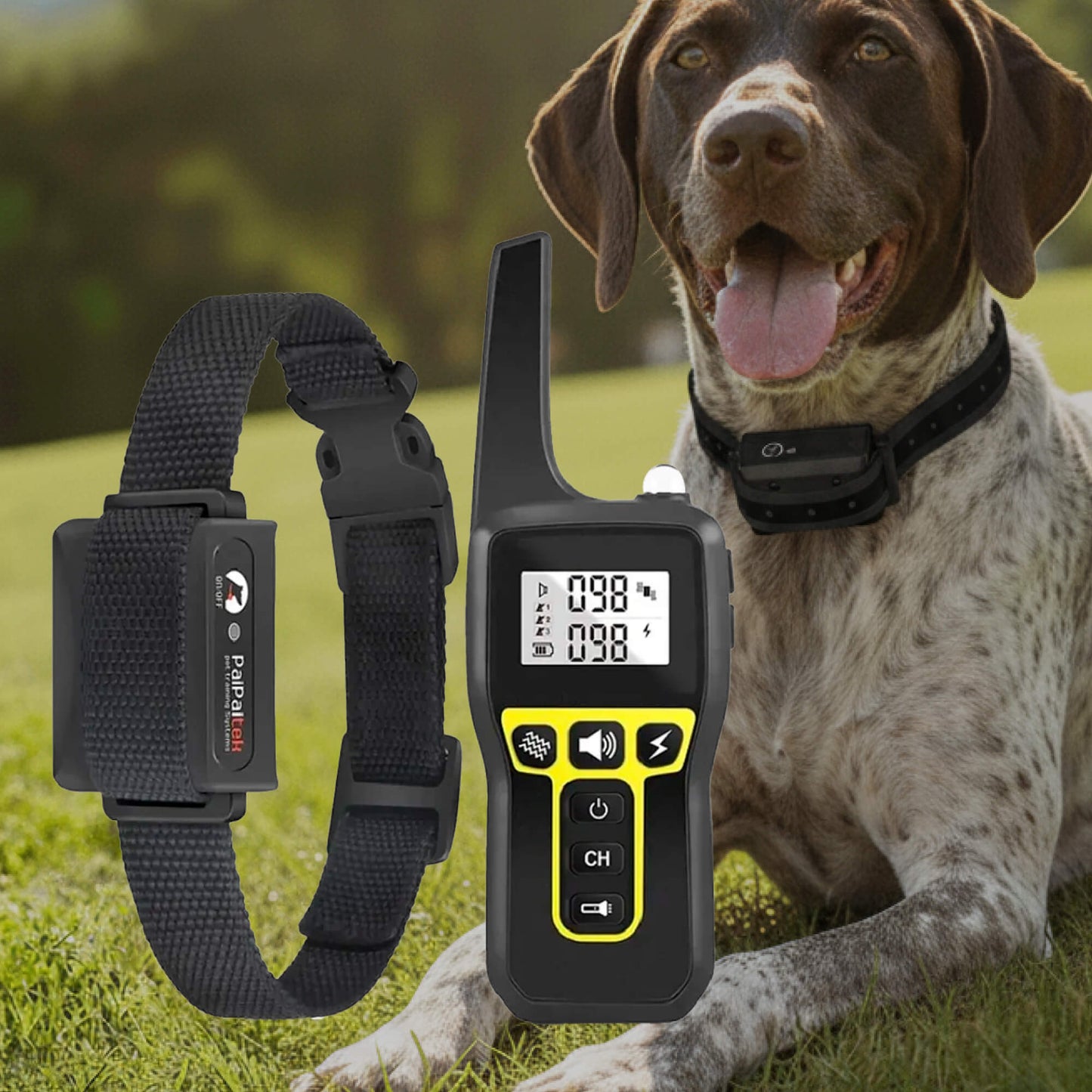 Thomasequestrian | 1000m Waterproof Dog Training Collar – Rechargeable, Remote Control & Adjustable for Small, Medium, and Large Dogs