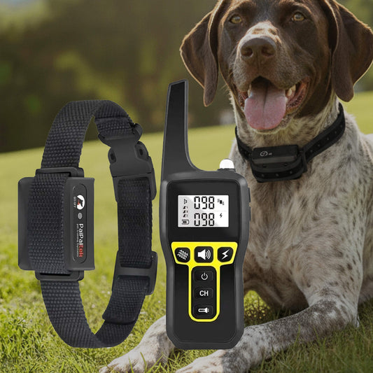 Thomasequestrian | 1000m Waterproof Dog Training Collar – Rechargeable, Remote Control & Adjustable for Small, Medium, and Large Dogs
