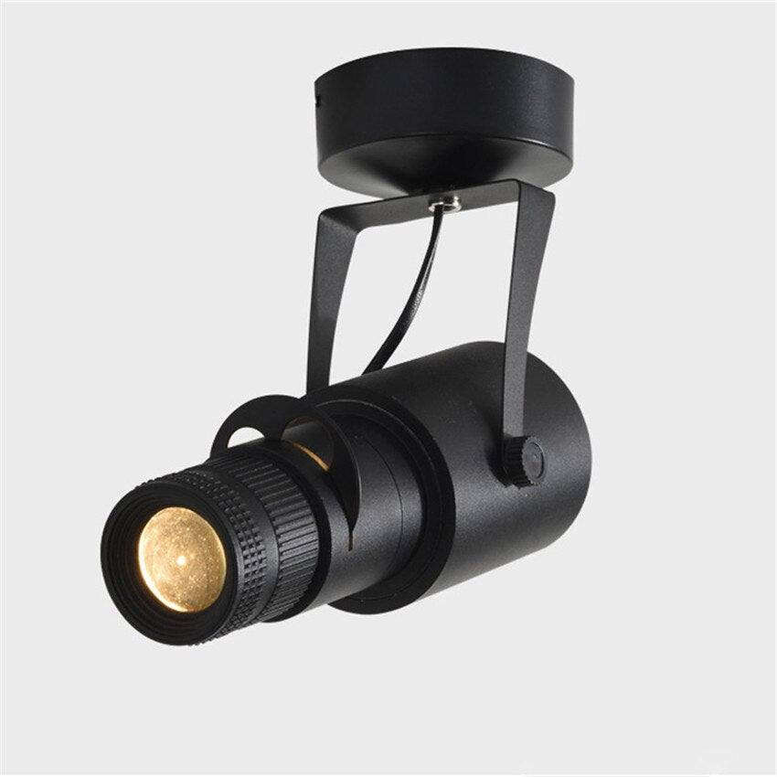 Thomasequestrian | Adjustable LED Spotlight – Focus Light Background