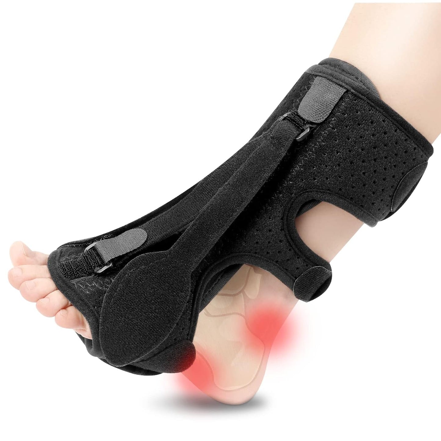 Thomasequestrian | Night Splint for Plantar Fasciitis - Foot Support Brace