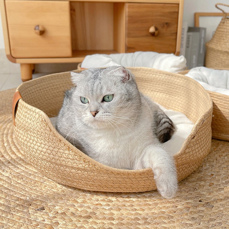 Thomasequestrian | Bamboo Bed
