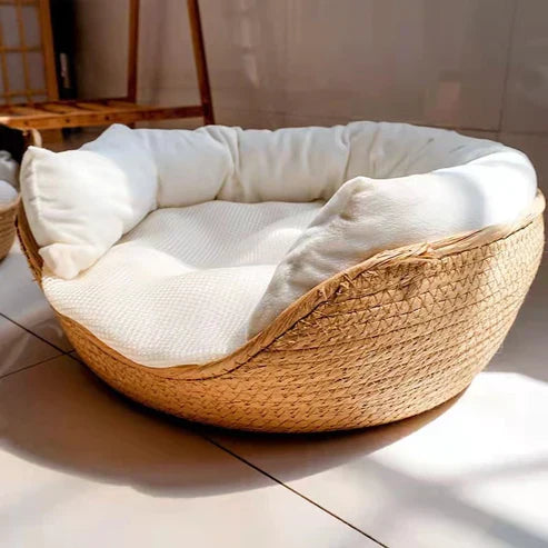 Thomasequestrian | Bamboo Bed