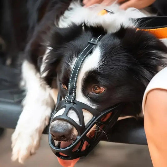 Thomasequestrian | SafeBark Dog Muzzle